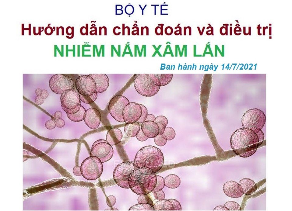 Hướng dẫn chẩn đoán và điều trị nhiễm nấm xâm lấn, Bộ Y tế 2021
