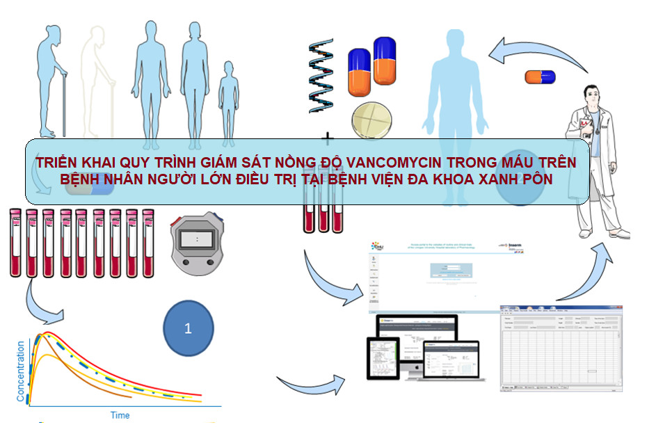 TRIỂN KHAI QUY TRÌNH GIÁM SÁT NỒNG ĐỘ VANCOMYCIN TRONG MÁU TRÊN BỆNH NHÂN NGƯỜI LỚN ĐIỀU TRỊ TẠI BỆNH VIỆN ĐA KHOA XANH PÔN